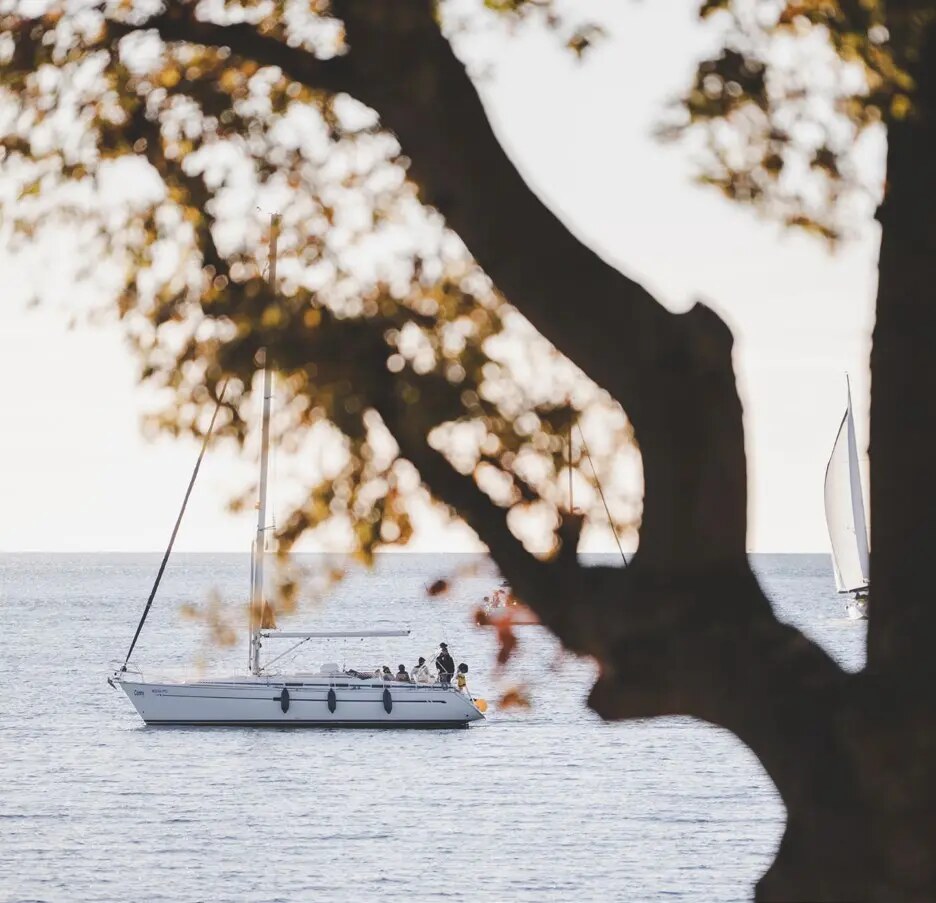 Relaxed wedding moment beneath the trees